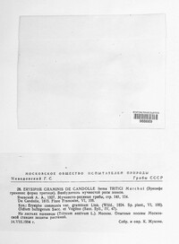 Blumeria graminis image